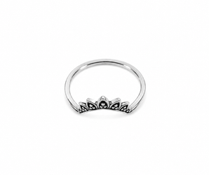 Anillo PELS